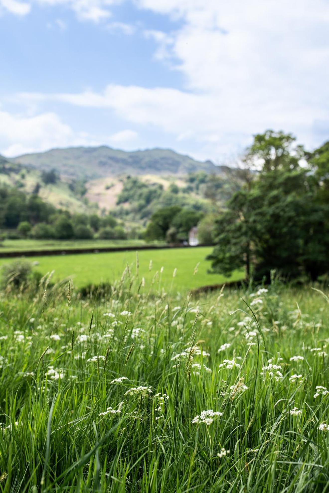 Lancrigg Hotel&Kitchen Grasmere Exterior foto